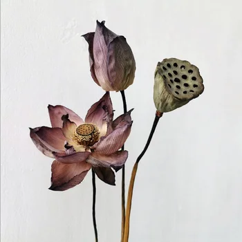 1 Adet Gerçek Bitkiler Lotus Kurutulmuş Doğal Çiçekler Güzellik Glamour Ev Dekor Masası Parti Ofis Oturma Odası Yapay El Sanatları