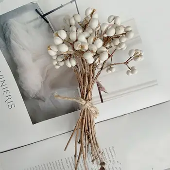 Doğal Pamuk Topları Donyağı Ağacı Meyve Kurutulmuş Çiçekler Küçük Ginkgo Meyve Bitkileri Yapay Ev Partisi Dekorları Düğün Dıy Malzemeleri