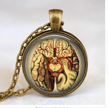 toptan Steampunk Takı Anatomik beyin kolye kolye Gotik kolye bilim kolye biyoloji tıp öğrencisi A-024 HZ1